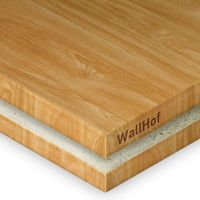 HPL-пластик «Снежный Дуб»