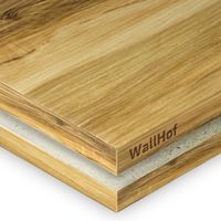 HPL-пластик «Индийский шишам» (LM 0617)