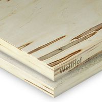 Шпон Клен Gusano