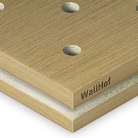 Акустическая тип Rd5 Шпон Анегри 492Q