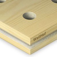 Акустическая тип R10 Шпон Сосна