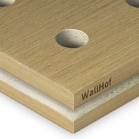 Акустическая тип R10 Шпон Анегри 492Q