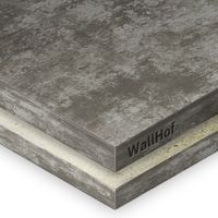 «Айс какао» FS 305-2