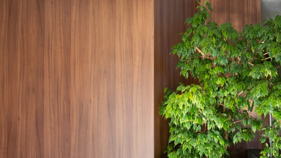 Мастерская управления 