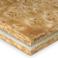 Шпон Тис корень