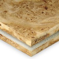 Шпон Тополь корень