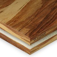 Шпон Этимое Wild