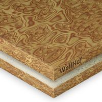 Шпон «Дуб корень» BCE-600M