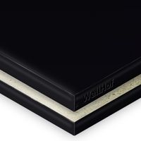 Крашенная: Глубокий черный - RAL 9005