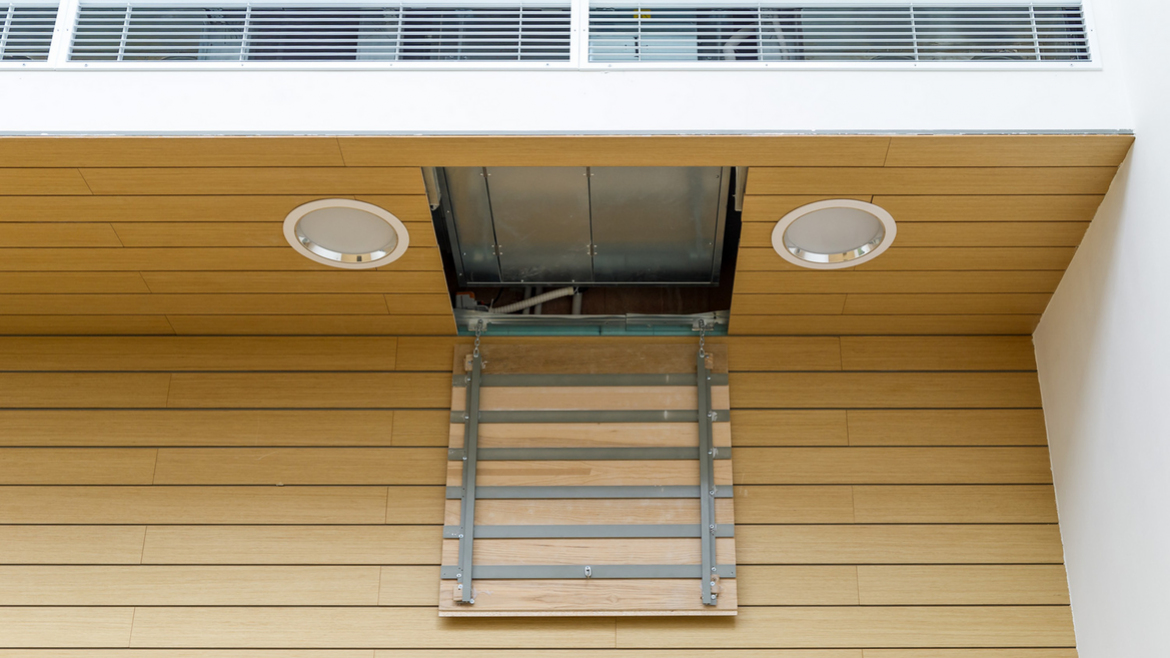 Михайловская дача_4