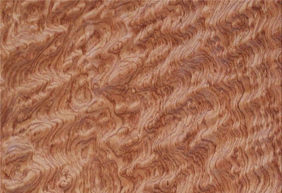 Шпонированные панели Wallhof Wood 