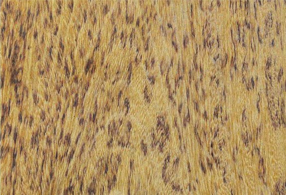 Натуральное дерево: шпон Череджейра пинтада N128