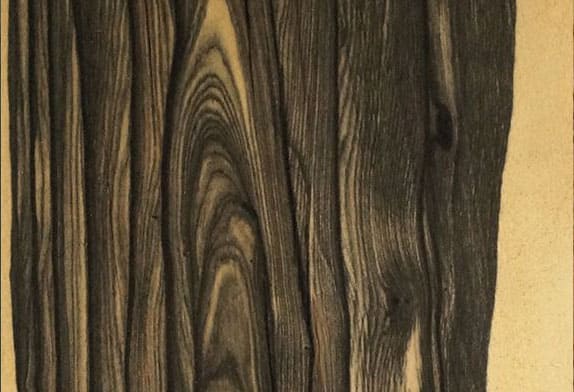 Натуральное дерево: шпон Эбен лунный N132