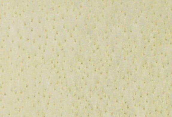 шпон файн-лайн «Клён птичий глаз» WEBM (F023Rd)