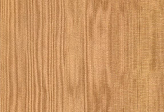 Натуральное дерево: шпон «Сосна DOUGLAS»