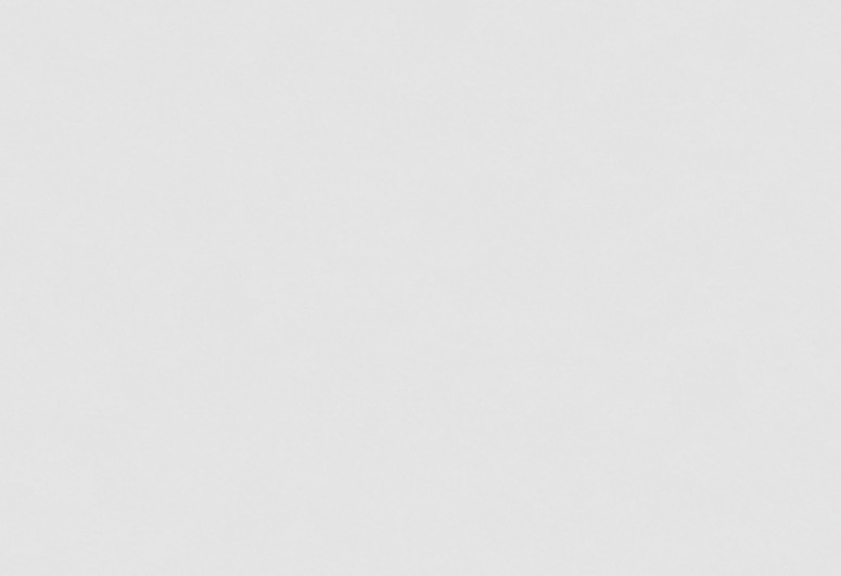 Панели с покрытием из HPL «Белый жемчуг» (LM 0202)