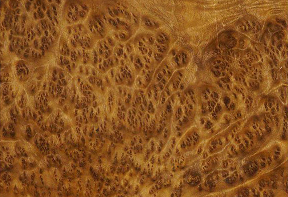 Натуральное дерево: шпон «Камфора корень»