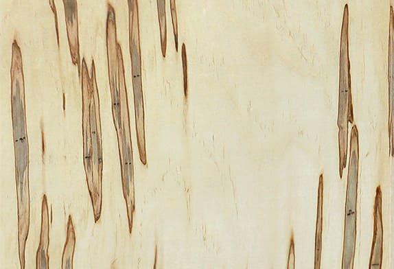 Натуральное дерево: шпон «Клен Gusano