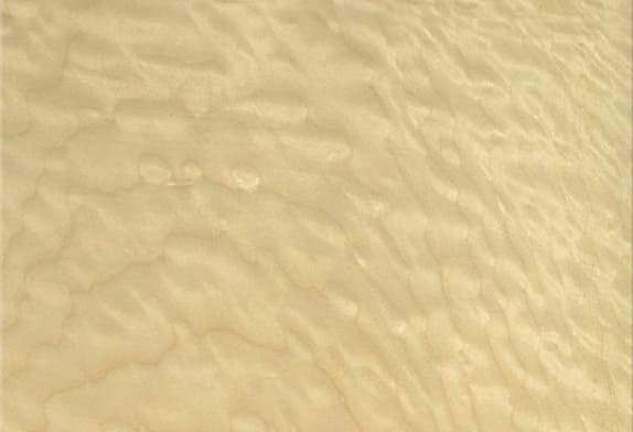 Натуральное дерево: шпон «Клён волнистый»