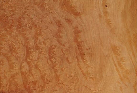Натуральное дерево: шпон Мадрона корень N009Rd