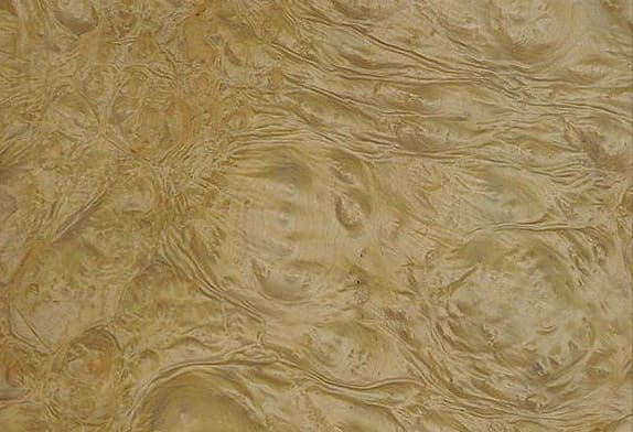 Натуральное дерево: шпон Мирт корень N098Rd