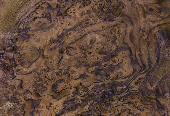 Натуральное дерево: шпон Орех корень N107Rd