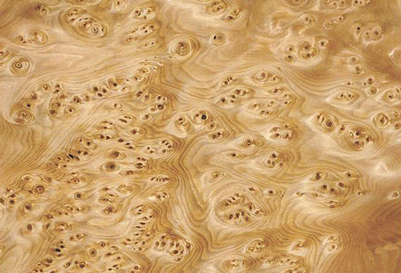 Натуральное дерево: шпон «Тис корень»