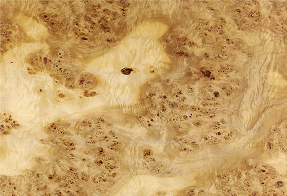 Натуральное дерево: шпон «Тополь корень»