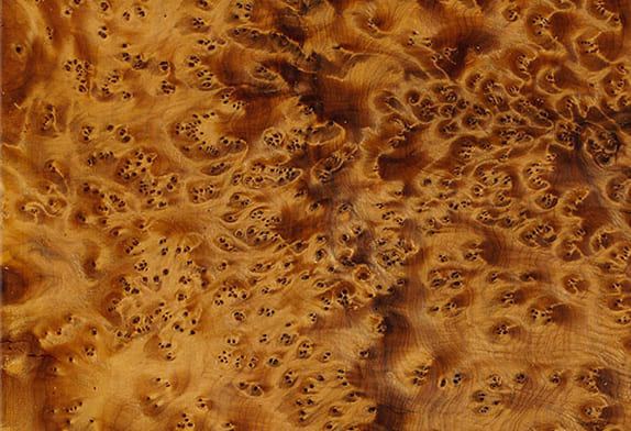 Натуральное дерево: шпон «Туя корень»