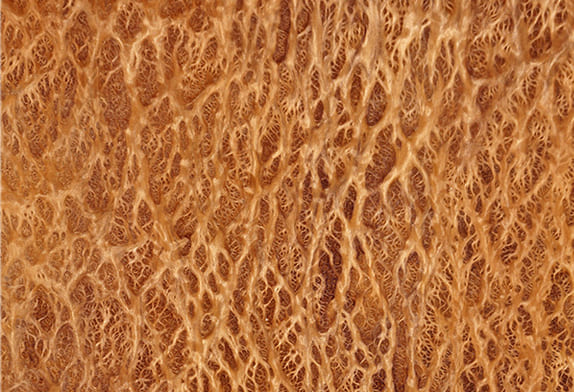 Натуральное дерево: шпон «Вавона»